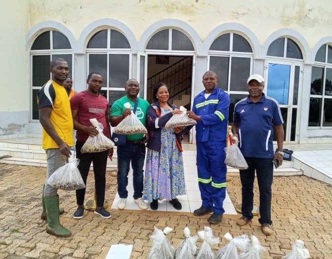 DELOPPEMENT LOCAL ET PROMOTION AGRICOLE